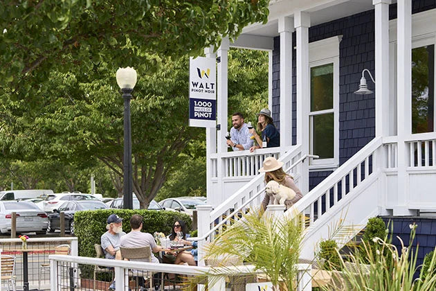 Your BottleRock Wine Break at WALT Oxbow
