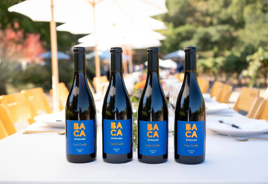 Ultimate Wine Tasting Experiences at BACA's Tasting Room