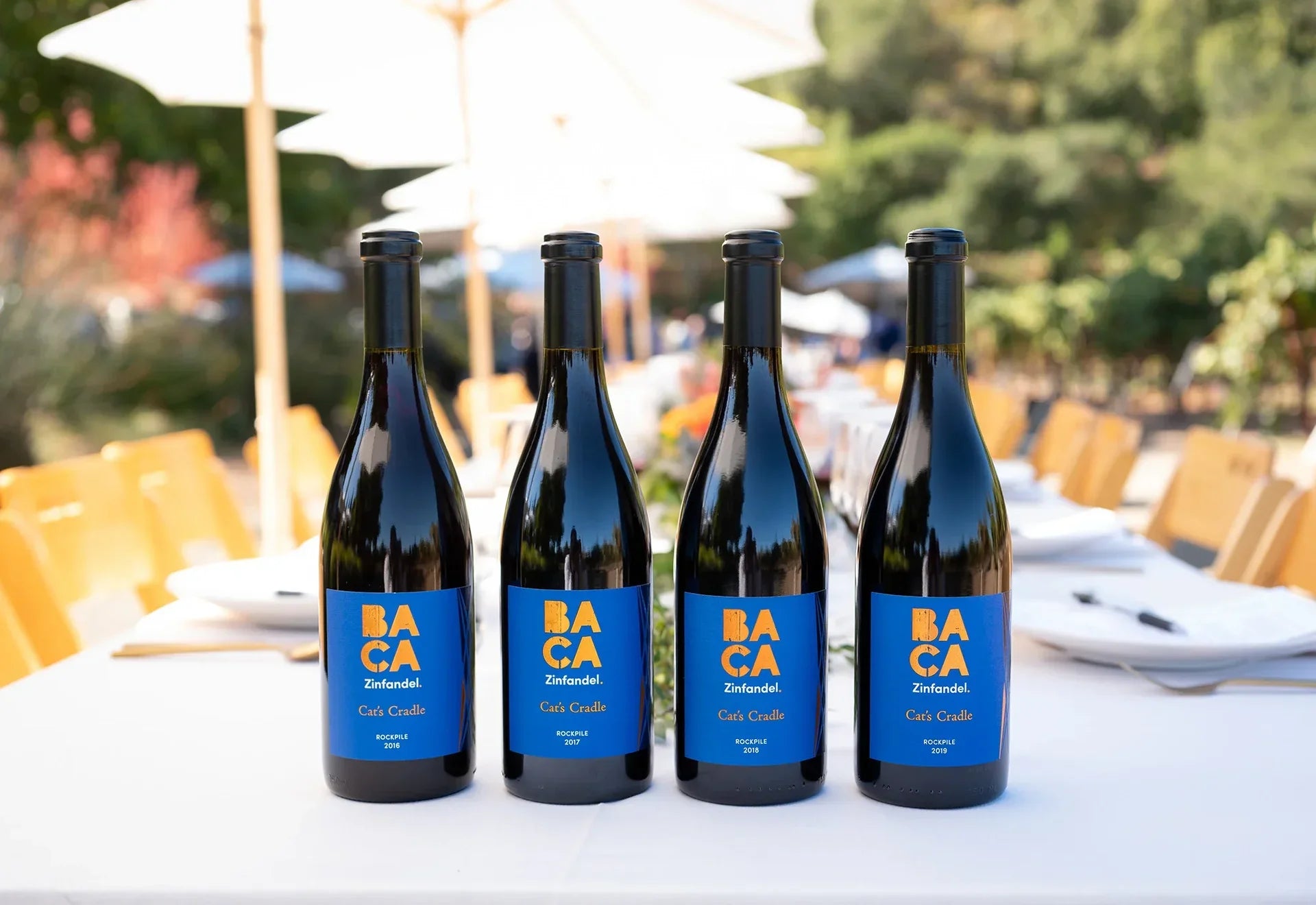 Ultimate Wine Tasting Experiences at BACA's Tasting Room