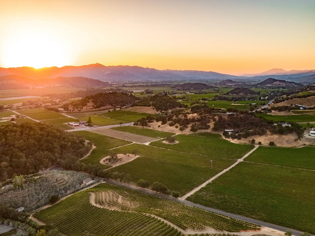 Our Appellations: Why Stags Leap Wine is our Top Pick