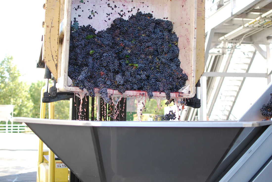 Everything You Need to Know about Harvest at BACA