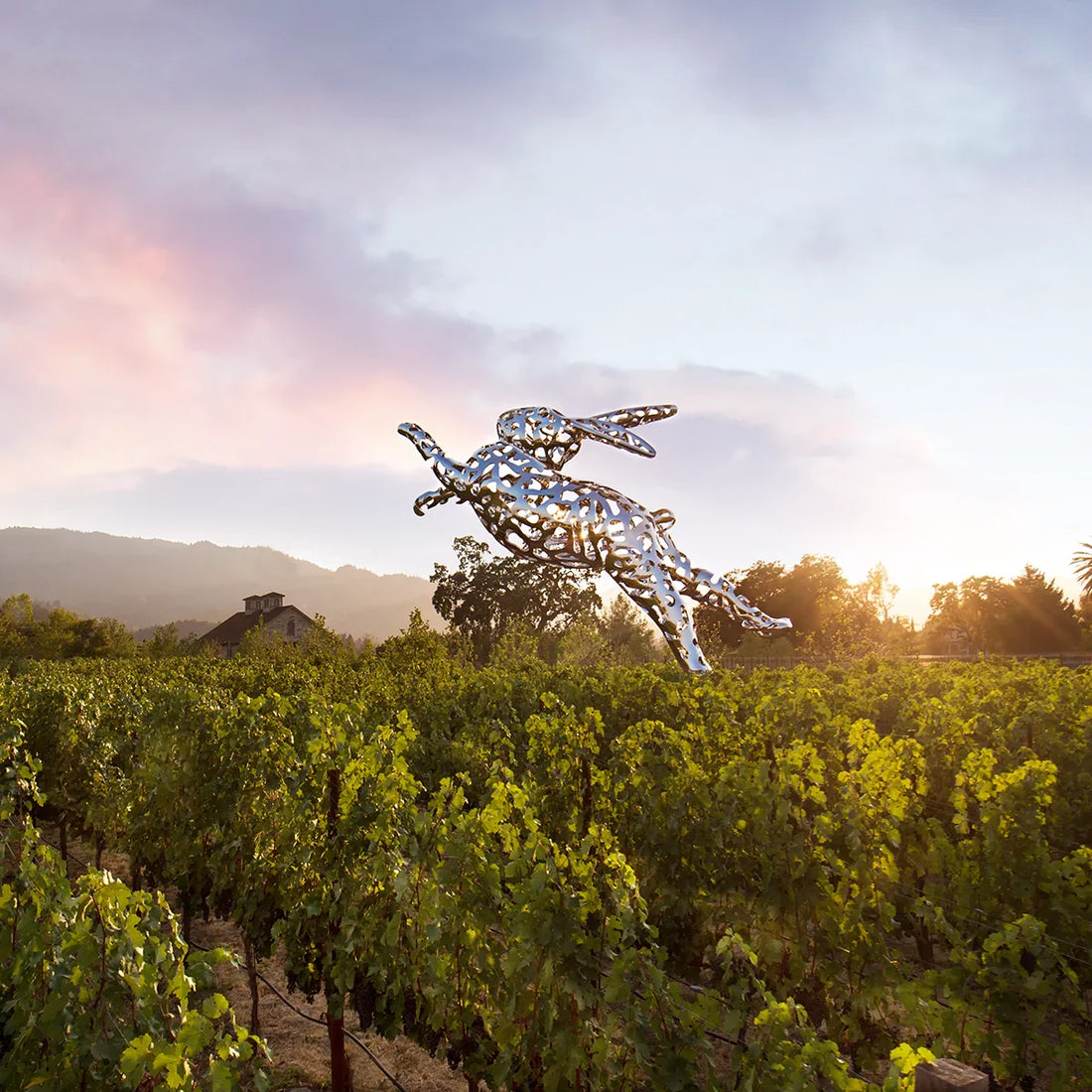 Travel & Leisure, "The Best Times to Visit Napa Valley for Beautiful Weather and Affordable Rates"