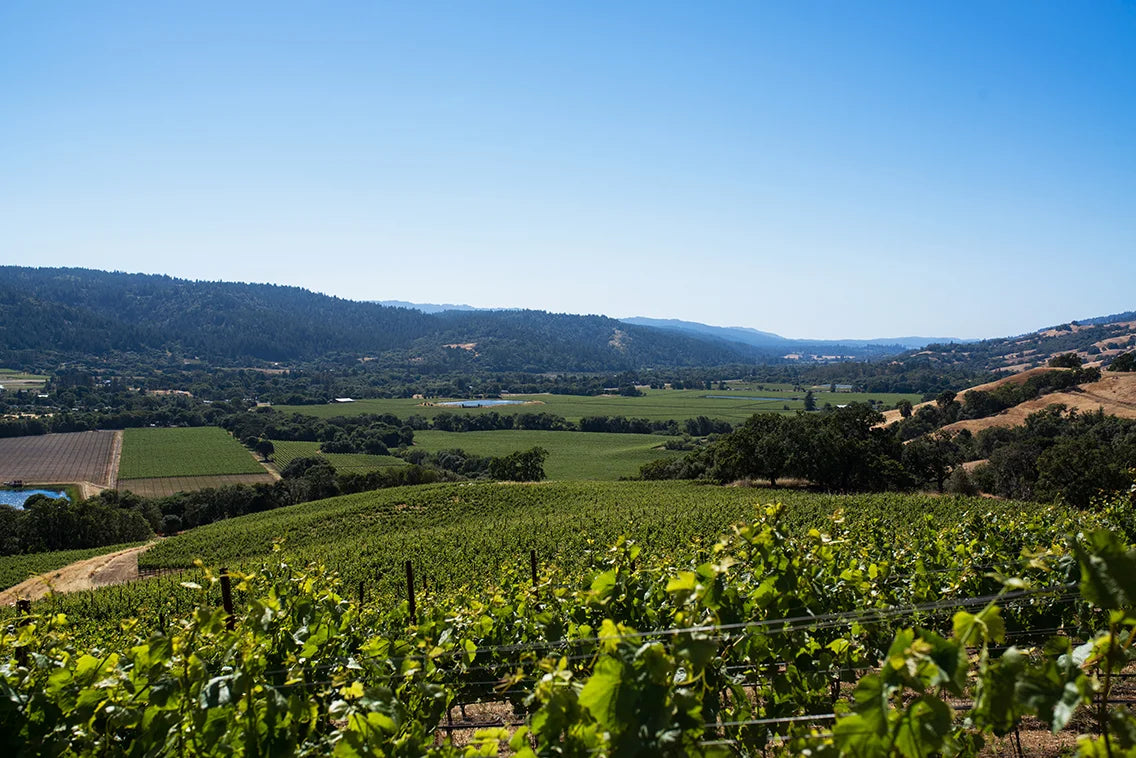 1,000 Miles of Pinot Noir: The Anderson Valley AVA
