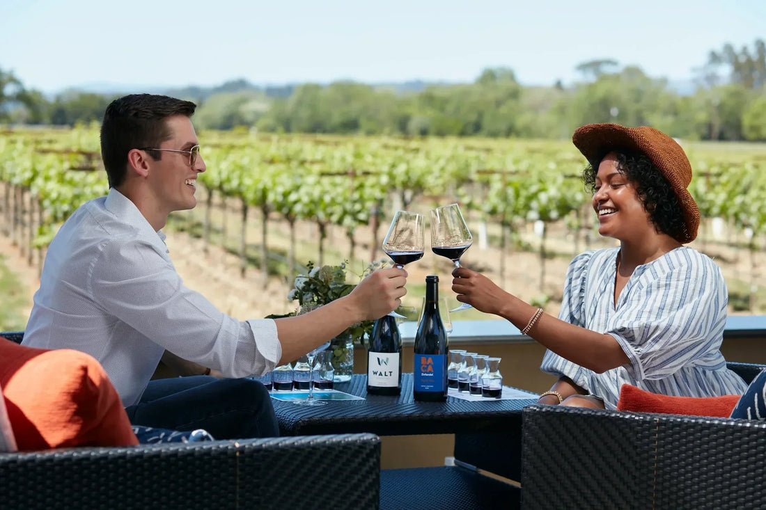BACA Tasting Room — 25 Best Wine Tasting Rooms in Sonoma County