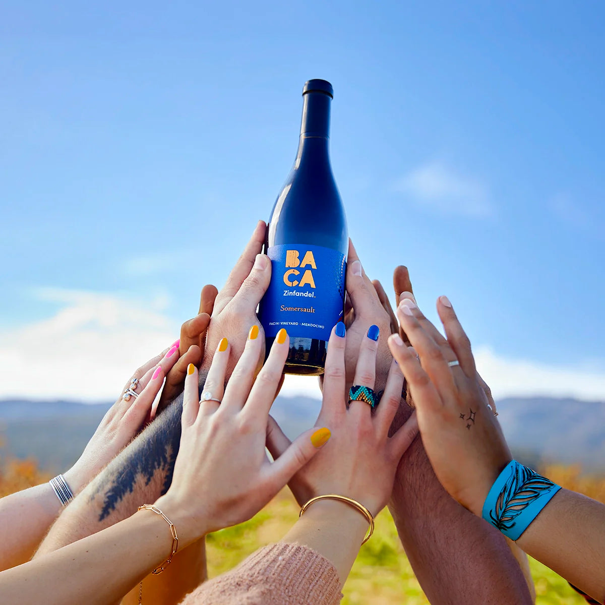 The Most Beautiful Wines in Healdsburg 2023
