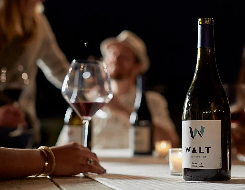 Witch Wine for Halloween? Pinot picks for your treats!