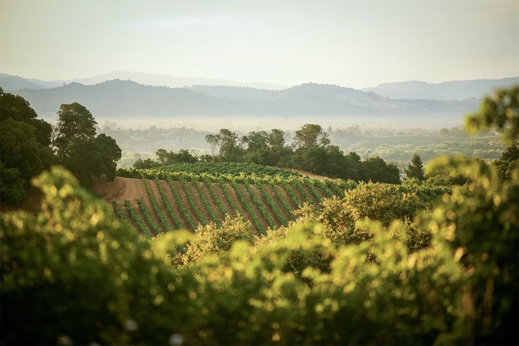 Dry Creek Valley