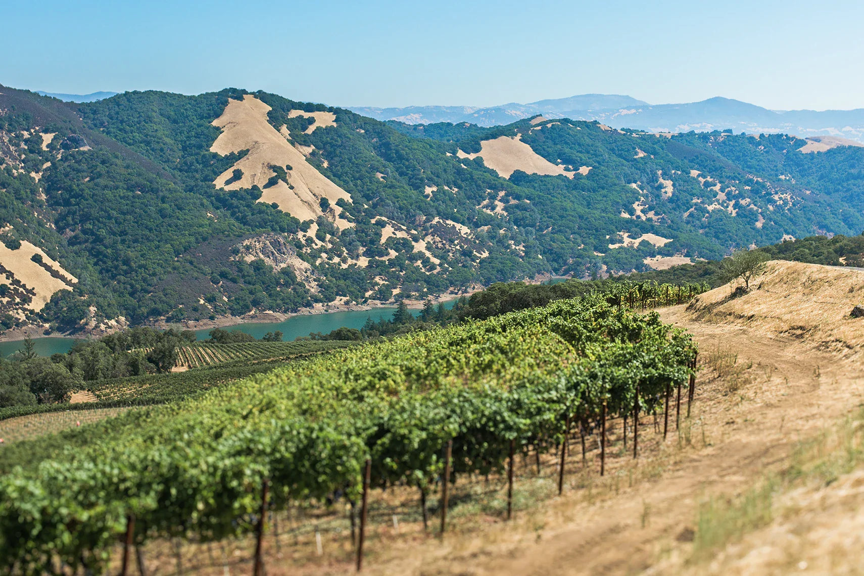 Russian River Valley