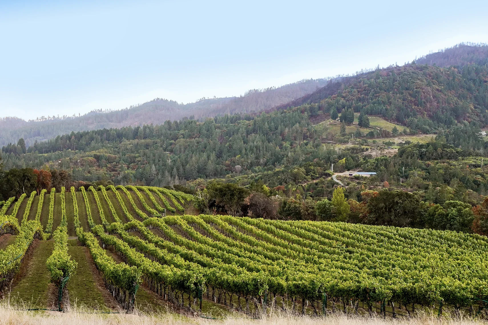 Mount Veeder