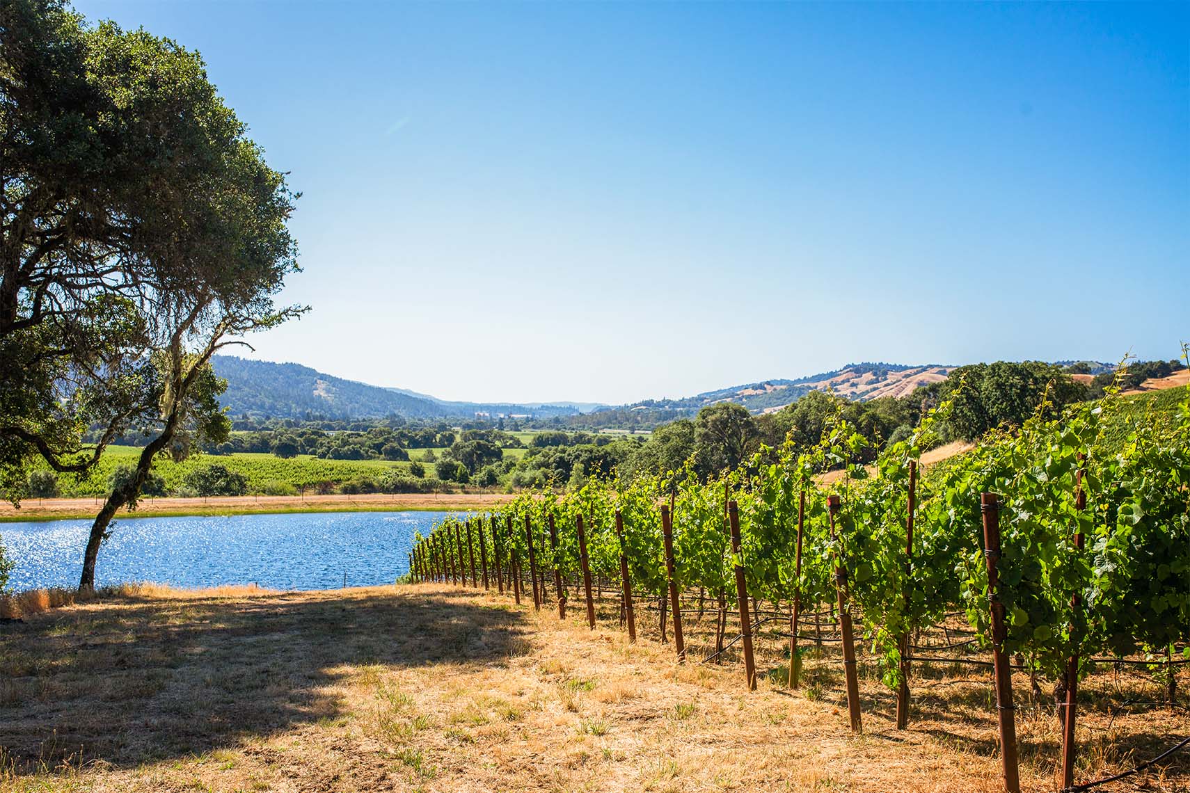 Anderson Valley