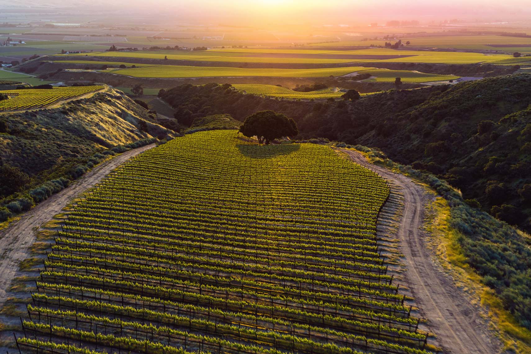 Santa Lucia Highlands