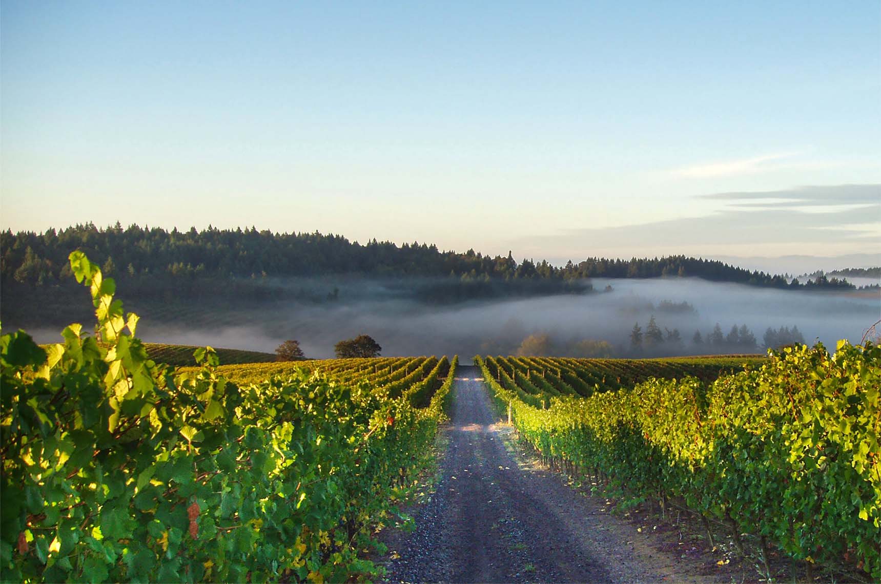 Willamette Valley