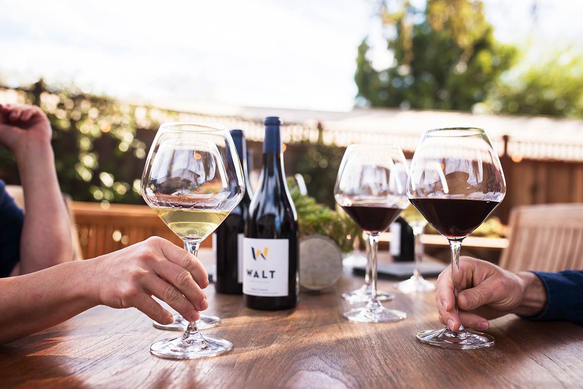 Sonoma - Current Release Tasting - $40/pp