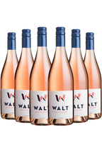 Image of 6 bottles of 2023 WALT Rose of Pinot Noir