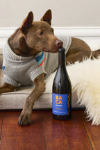 2022 BACA Home Base Zinfandel