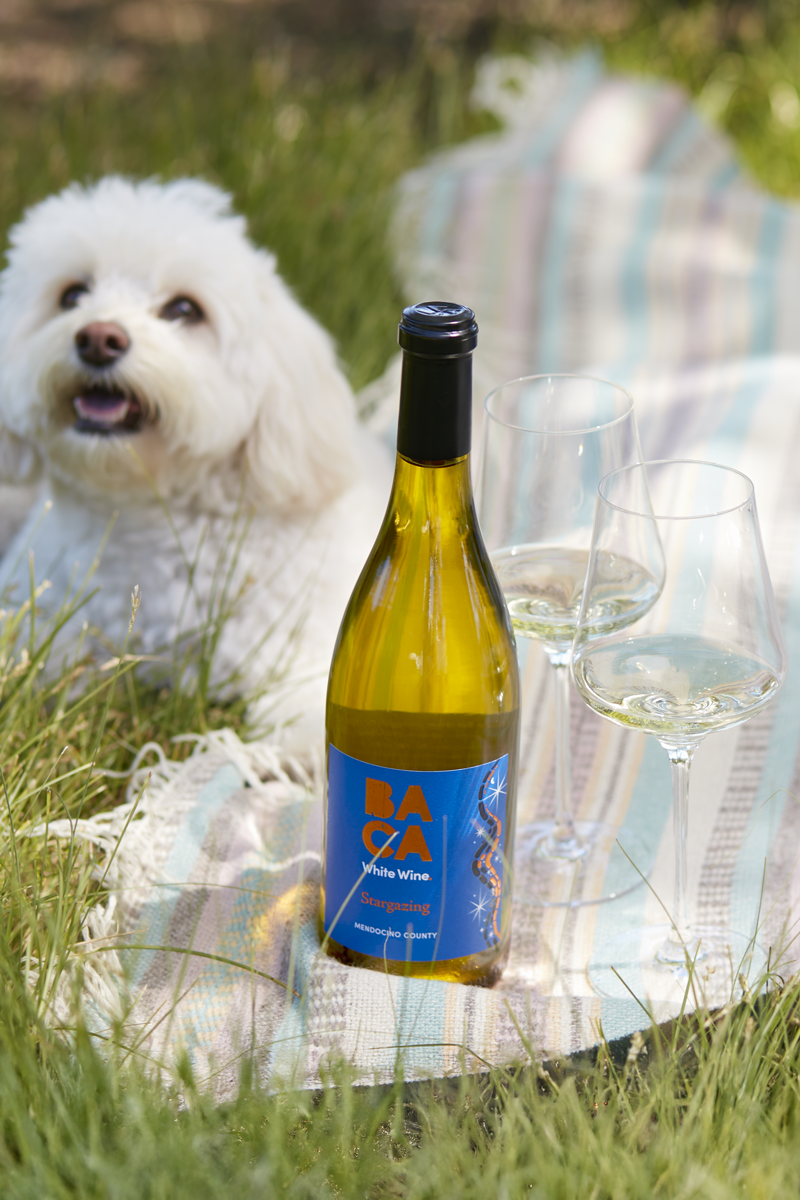 BACA Stargazing White Wine winemaker video discussing vineyard and vintage