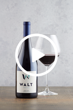 WALT Blue Jay Pinot Noir winemaker video discussing vineyard and vintage