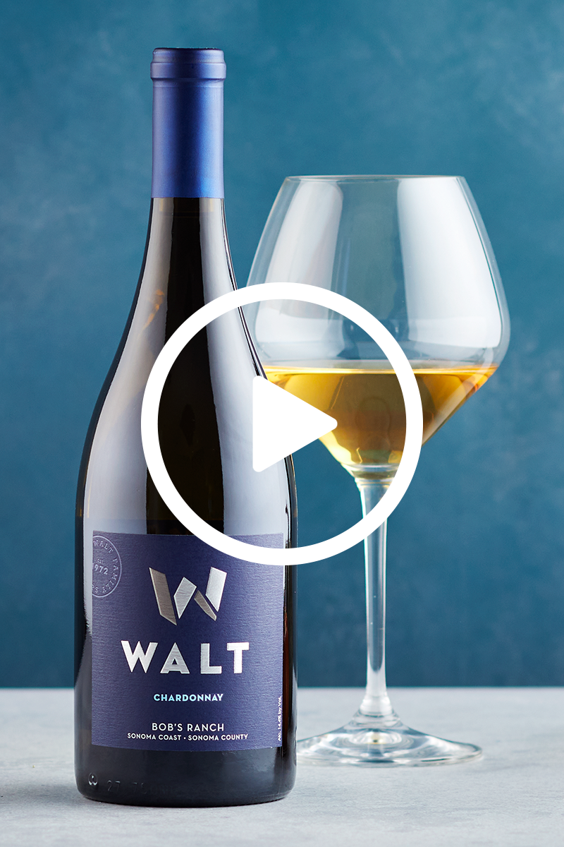 WALT Bob's Ranch Chardonnay winemaker video discussing vineyard and vintage