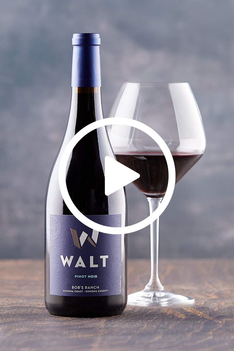 WALT Bob's Ranch Pinot Noir winemaker video discussing vineyard and vintage