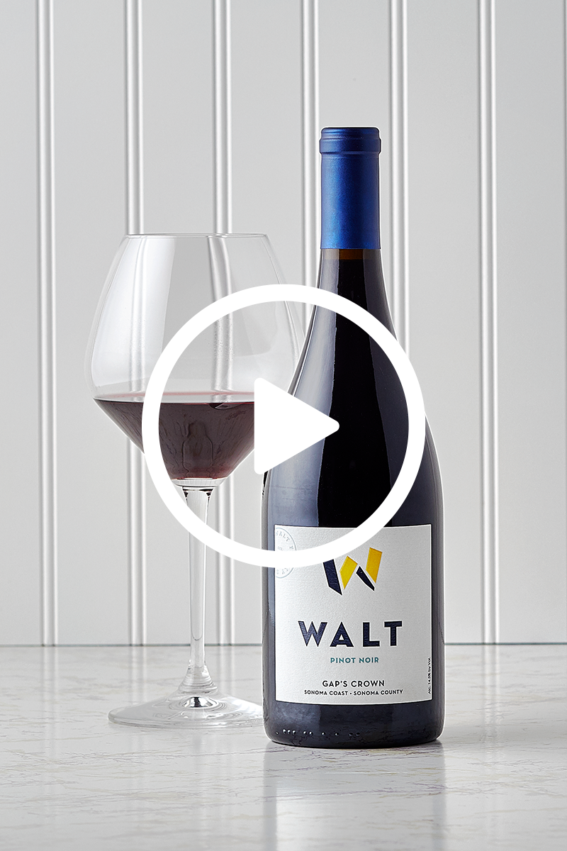 WALT Gap's Crown Pinot Noir winemaker video discussing vineyard and vintage