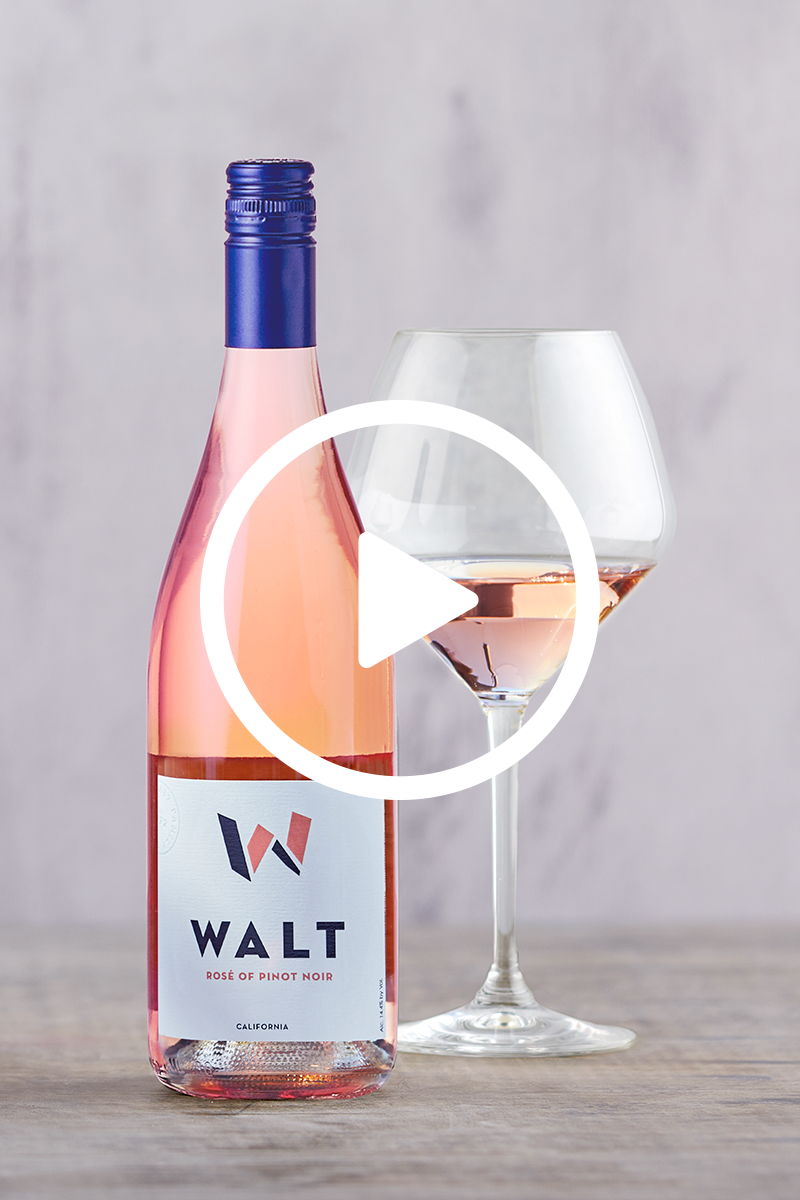 WALT Rose of Pinot Noir winemaker video discussing vineyard and vintage