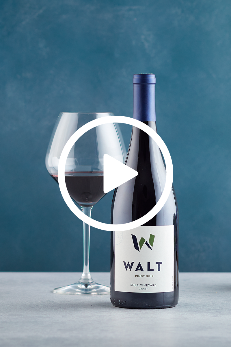 WALT Shea Vineyard Pinot Noir winemaker video discussing vineyard and vintage