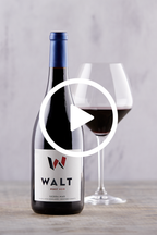 WALT Sierra Mar Pinot Noir winemaker video discussing vineyard and vintage