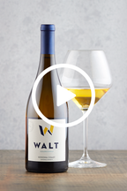 WALT Sonoma Coast Chardonnay winemaker video discussing vineyard and vintage