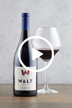 WALT Sta. Rita Hills Pinot Noir winemaker video discussing vineyard and vintage