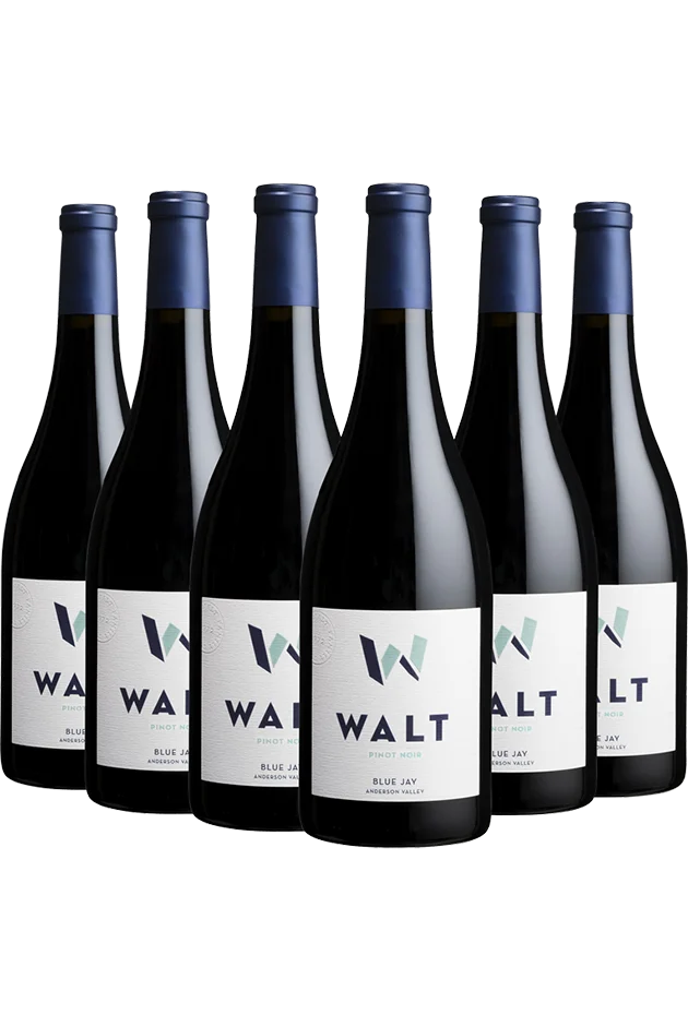 6 Bottles of 2023 WALT Blue Jay Pinot Noir