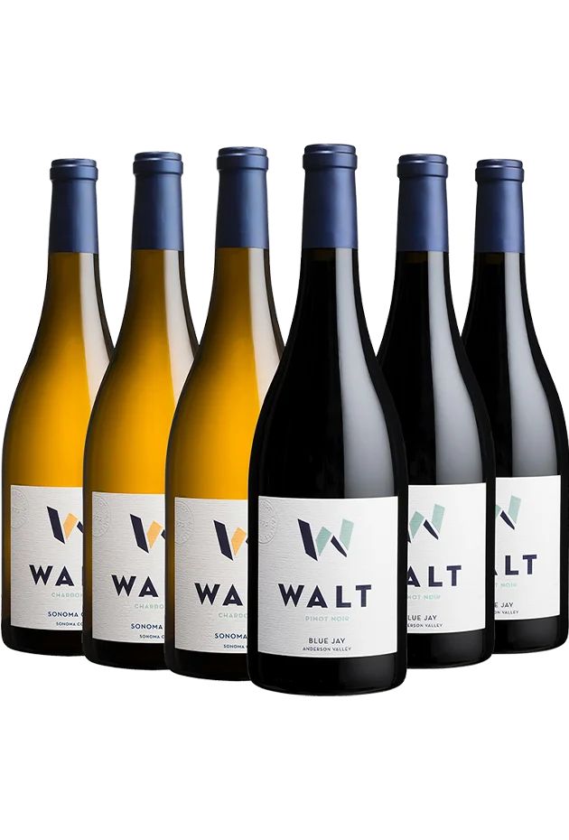3 bottles of 2023 WALT Sonoma Coast Chardonnay and 3 bottle of 2023 WALT Blue Jay Pinot Noir