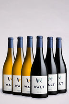 WALT Red & White 6-Pack